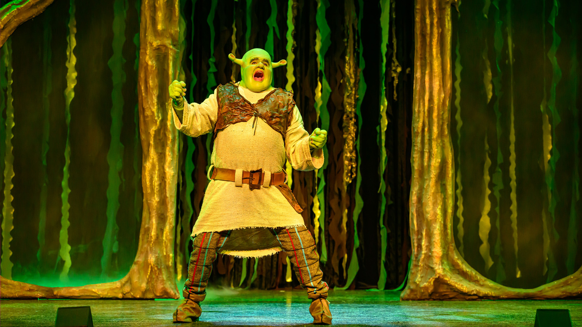 Shrek de Musical | Flint