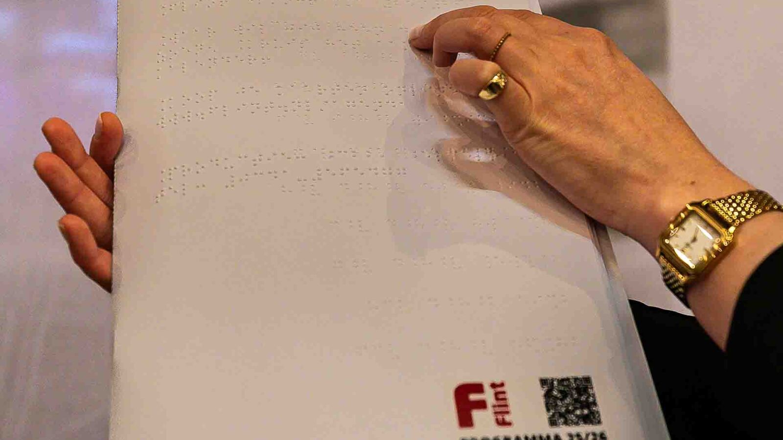 Bailleflyer - Foto: Peter Putters