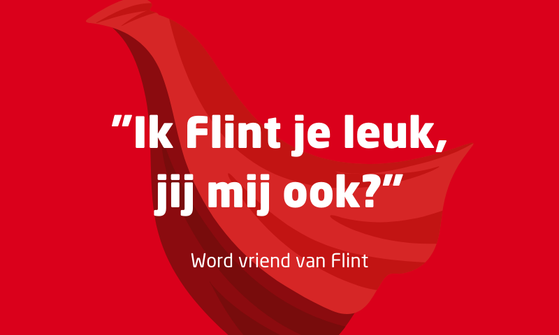 Ik Flint je leuk, jij mij ook?