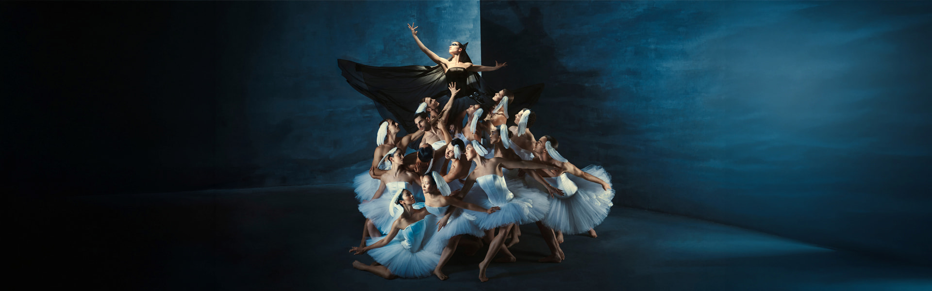 Introdans